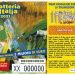 Lotteria Italia, a Roma il primo premio. In Calabria solo tre premi di terza categoria (i numeri dei biglietti) 8 lotteria italia