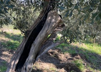 101adab6 9464 4f10 8e07 11520d933371