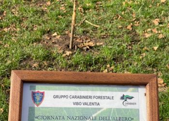 269668946 3267130143573344 171625247686431914 n