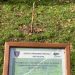 Albero della Legalità tagliato, tante le reazioni. L'ANCRI invita a realizzare un "Bosco della Legalità" 9 269668946 3267130143573344 171625247686431914 n