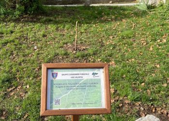 270074372 3267130166906675 3533785768757216858 n 1