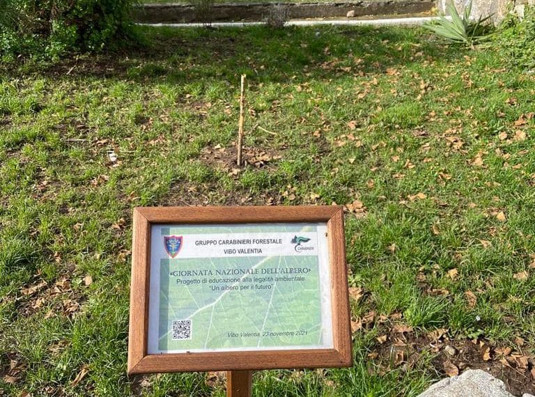 Taglio dell'Albero della Legalità, ferma presa di posizione del Prefetto Roberta Lulli 1 270074372 3267130166906675 3533785768757216858 n 1