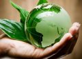 protezione ambiente ecologia terra nella mano