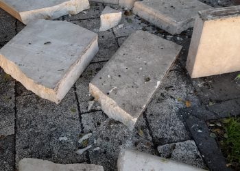 whatsapp image 2022 01 05 at 09.57.31