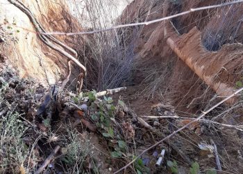 whatsapp image 2022 01 06 at 15.29.20