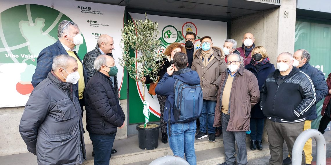 whatsapp image 2022 01 13 at 17.17.33