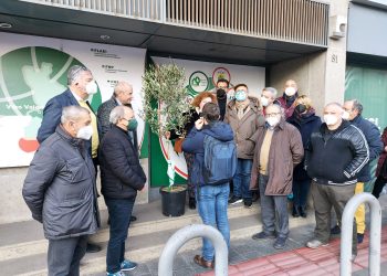 whatsapp image 2022 01 13 at 17.17.33