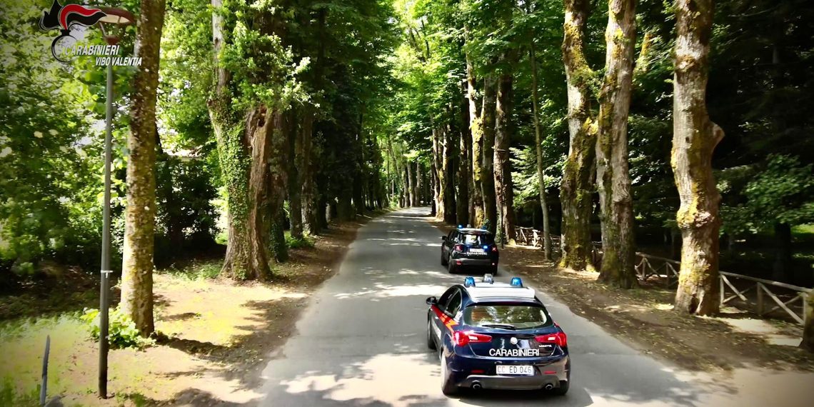 auto carabinieri tra i boschi