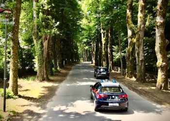 auto carabinieri tra i boschi