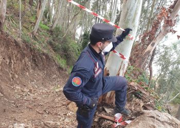 carabinieri forestali 1 1