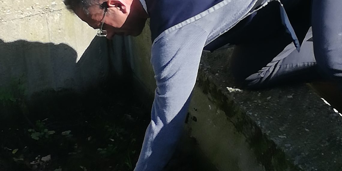 img 20211103 122016b