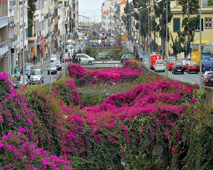 Madeira, il Giardino galleggiante dell'Atlantico, un'isola per tutte le stagioni 1 madeira 1