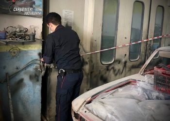 whatsapp image 2022 02 28 at 15.43.02