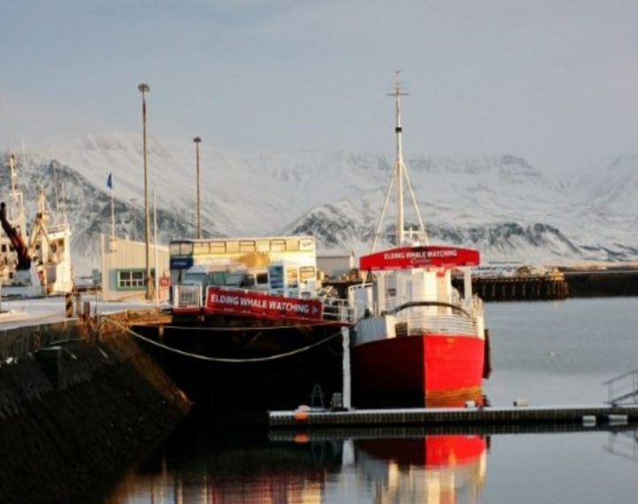 In cima al mondo con una crociera nell'Artico. Un'avventura affascinante 1 crociera ghiacci 3