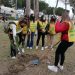 Messe a dimora altre 100 nuove piante per far rinascere la pineta di Tropea (foto) 9 img 20220319 103054