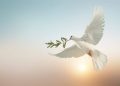 La Pasqua secondo don Fiorillo: per avere pace, creiamo spazi aperti... partecipi dello stesso destino 2 La Pasqua secondo don Fiorillo: per avere pace, creiamo spazi aperti… partecipi dello stesso destino