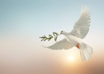 La Pasqua secondo don Fiorillo: per avere pace, creiamo spazi aperti… partecipi dello stesso destino