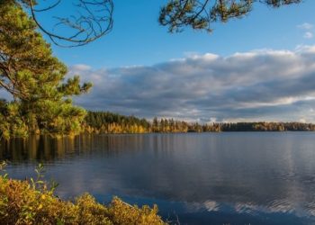 Natura e design in Svezia attraverso lo Småland