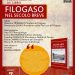 Filogaso nel secolo breve. Frammenti di storia locale raccontati da Nicola Iozzo
