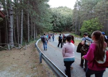 A Serra San Bruno la “Notte dei Desideri” grazie al Parco Regionale delle Serre