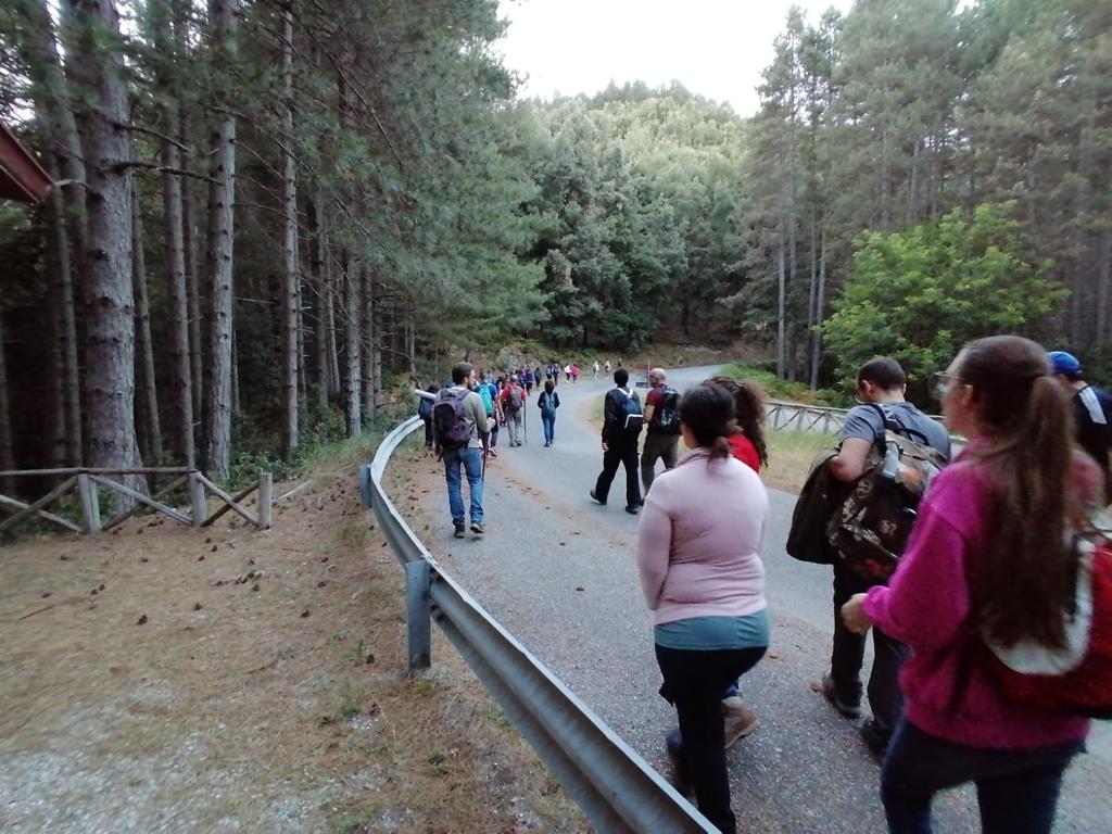 A Serra San Bruno la “Notte dei Desideri” grazie al Parco Regionale delle Serre