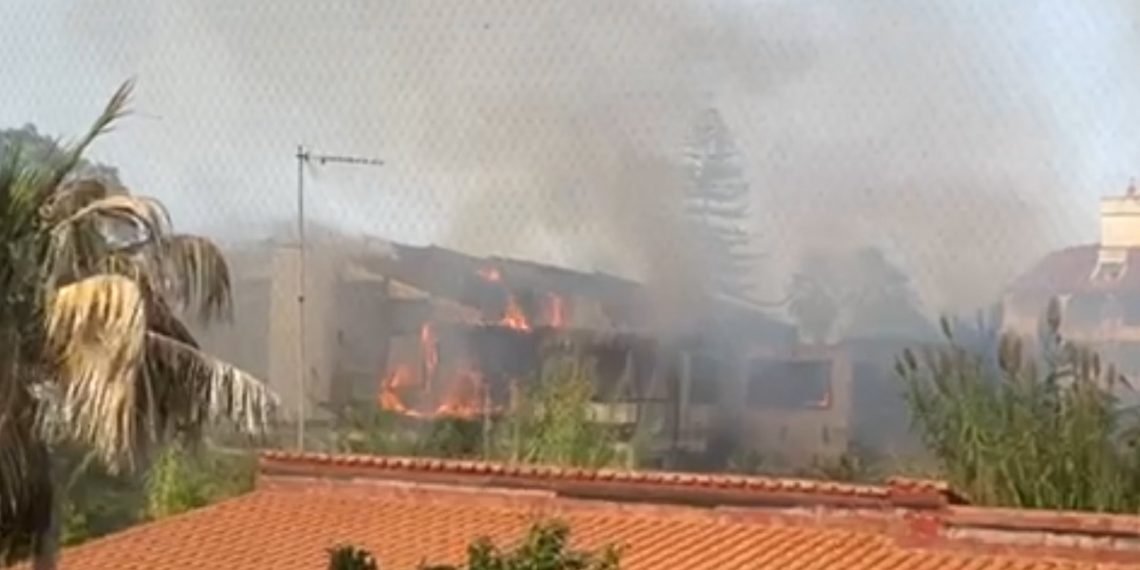 whatsapp image 2023 09 21 at 16.16.03 1