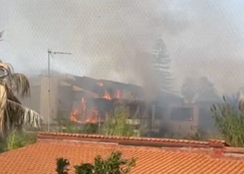 whatsapp image 2023 09 21 at 16.16.03 1