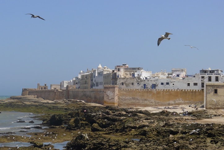 L'affascinante città di Essaouira, la città più rilassata del Marocco 8 essauria 5
