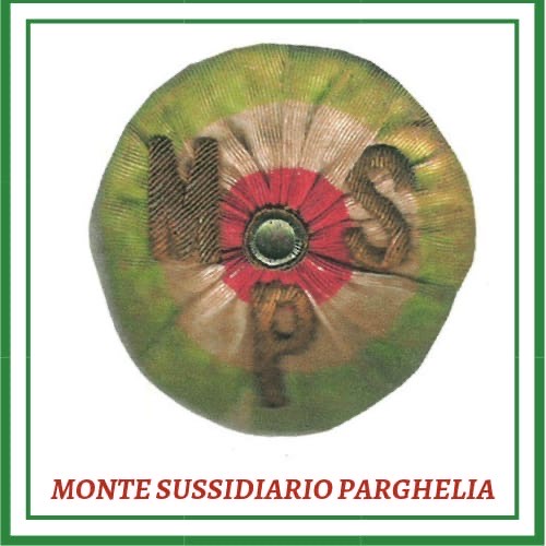 “Dalle muse al logos”, a Vibo Valentia l’intellettuale greco Michalis Charalambidis 3 img 0640
