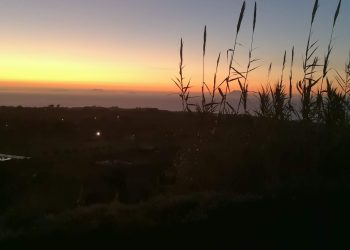 img 20181109 171501 1