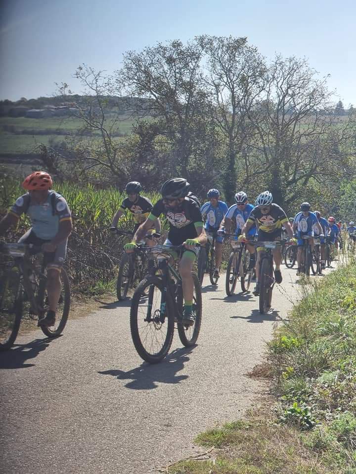 Pedalata d'Autunno… Grande partecipazione, da tutta la Calabria a Monte Poro 7 whatsapp image 2023 10 19 at 11.02.53 1 1
