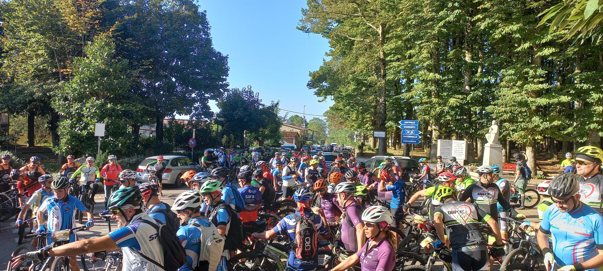 Pedalata d'Autunno… Grande partecipazione, da tutta la Calabria a Monte Poro 5 whatsapp image 2023 10 19 at 11.02.53 2