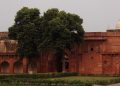 agra 1