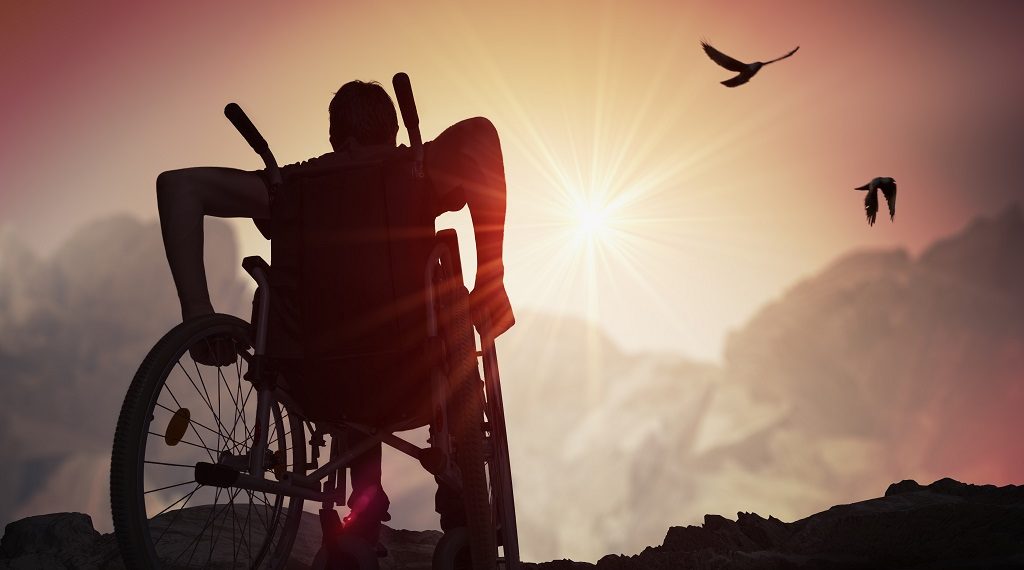 La disabilità in relazione alla propria Triade Umana 1 disabilita