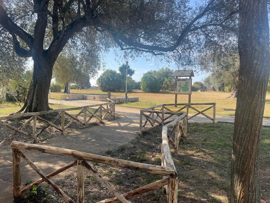 "Rivoluzione” al Parco urbano di Vibo Valentia. Siglata l’intesa col Parco delle Serre per la manutenzione 4 protocollo comune vibo parco delle serre 3