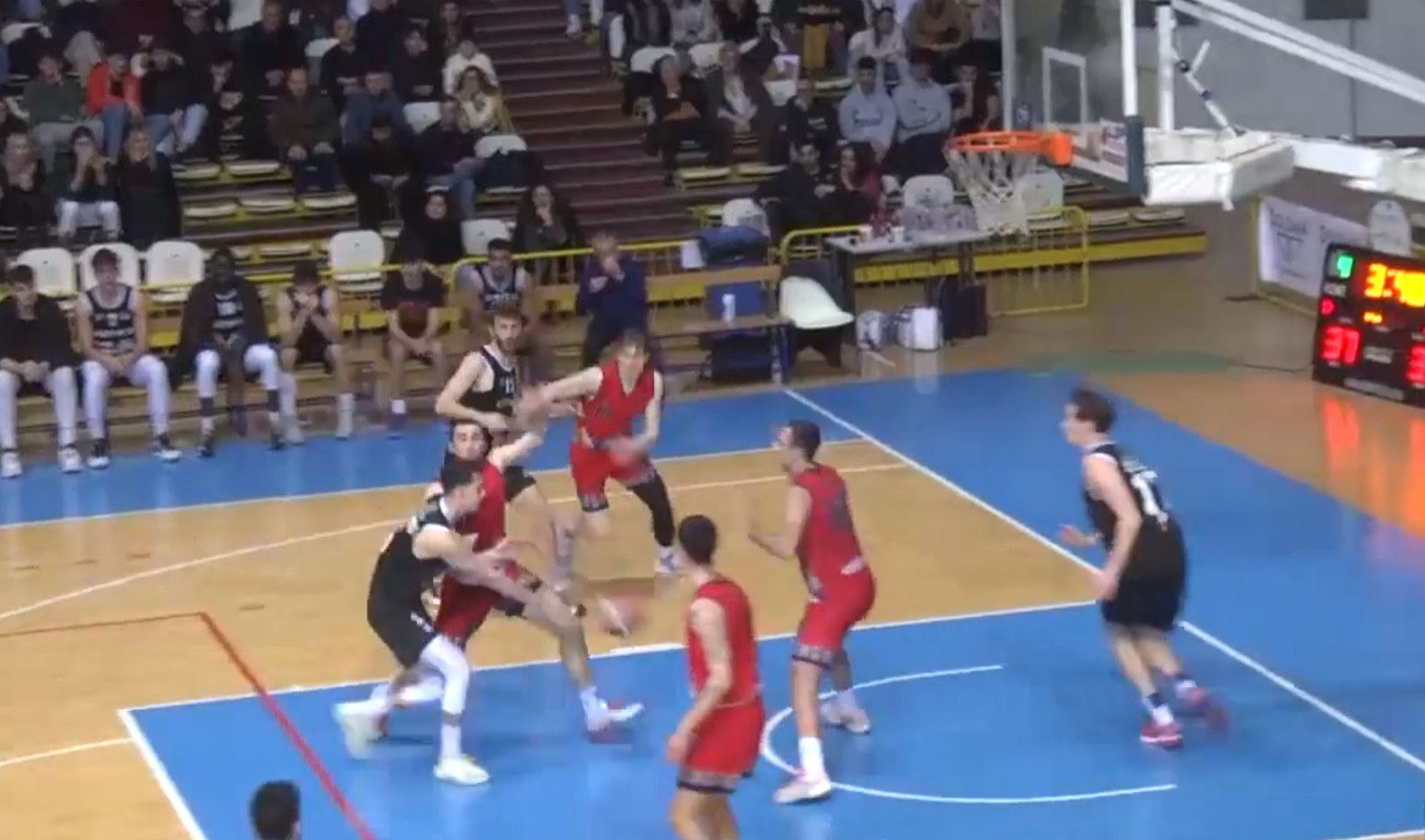 Basket, la Viola continua a vincere e mantiene la vetta della classifica (video)