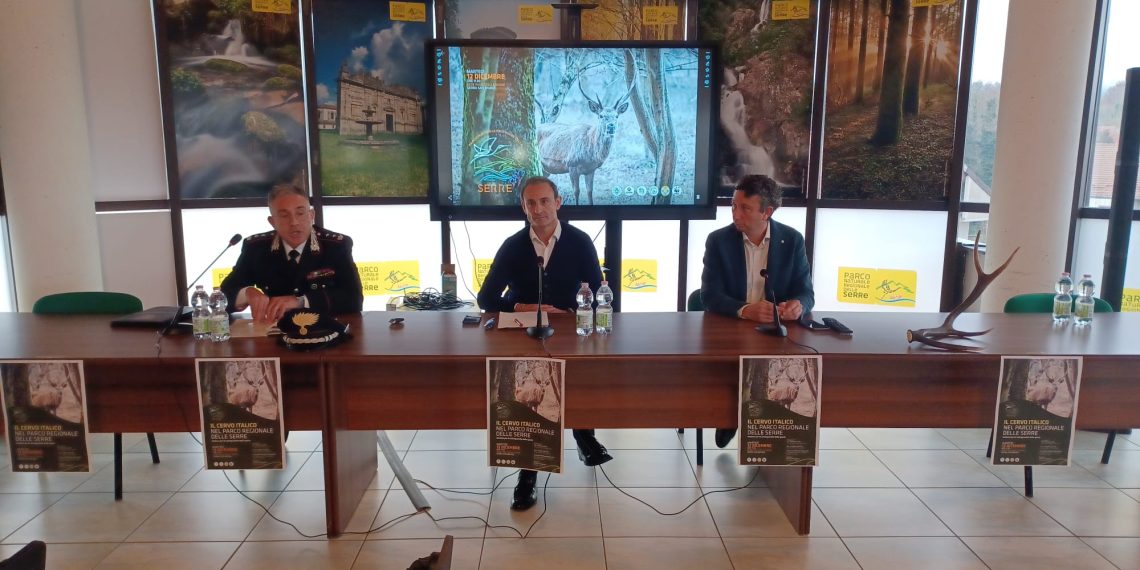 whatsapp image 2023 12 13 at 15.25.15