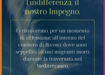 whatsapp image 2024 01 02 at 16.36.12