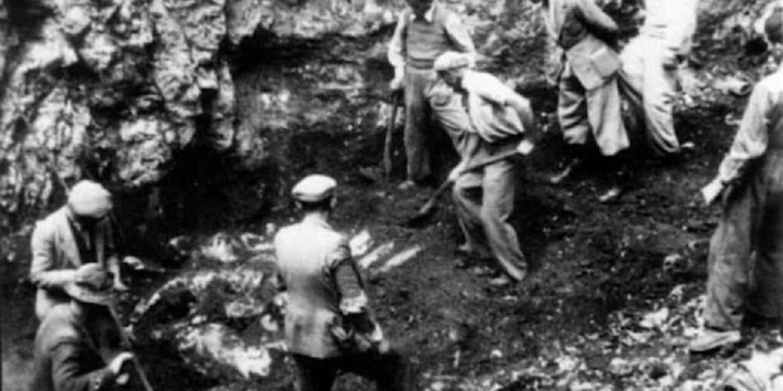 Nel Giorno del Ricordo, la riscoperta di Bruno Corbo di Arena, Guardia di P.S.  caduto nelle foibe