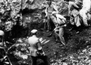 Nel Giorno del Ricordo, la riscoperta di Bruno Corbo di Arena, Guardia di P.S.  caduto nelle foibe