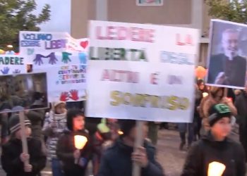 Grande partecipazione a Cessaniti per la Fiaccolata Silenziosa di Solidarietà (video)
