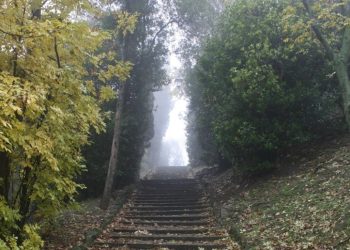 Viaggio letterario nel Nord Italia: in Veneto un parco naturale sorprendente! 2 Viaggio letterario nel Nord Italia: in Veneto un parco naturale sorprendente!