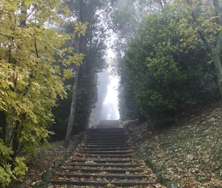 Viaggio letterario nel Nord Italia: in Veneto un parco naturale sorprendente!