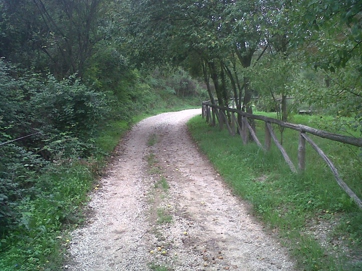 Viaggio letterario nel Nord Italia: in Veneto un parco naturale sorprendente! 3 euganei 3 1