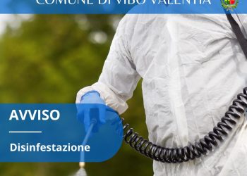 Vibo Valentia, lunedì e martedì si ripete la derattizzazione, mercoledì invece la disinfestazione 2 Vibo Valentia, lunedì e martedì si ripete la derattizzazione, mercoledì invece la disinfestazione