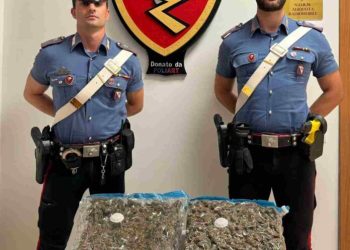 Arrestato un sessantenne di Rosarno che trasportava marijuana