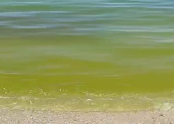 L’estate da incubo a Bivona, infruttuoso il sopralluogo congiunto con Comune, Regione e Arpacal