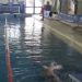 Speranze concrete per la riapertura della Piscina comunale di Vibo Valentia, appaltati i lavori (video)