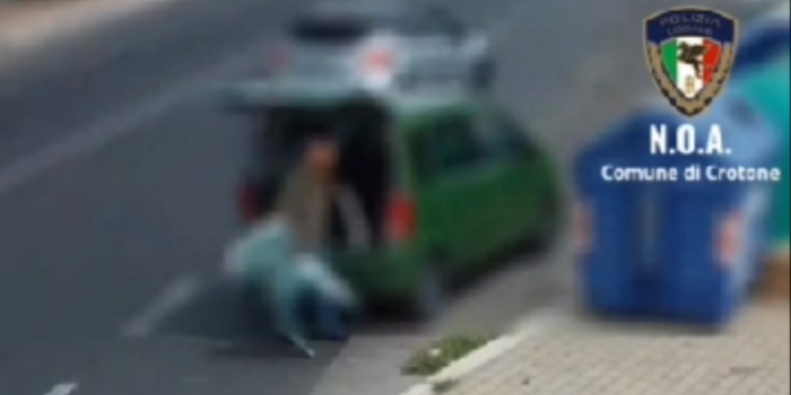 Lordazzi in azione immortalati dalle fototrappole a Crotone