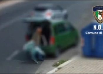 Lordazzi in azione immortalati dalle fototrappole a Crotone